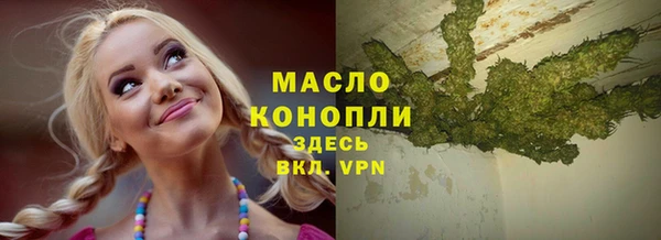 дживик Арсеньев