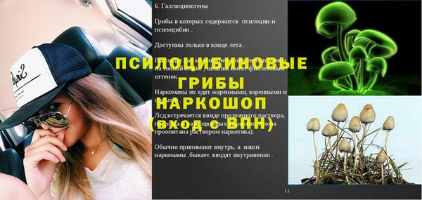 гашик Алзамай