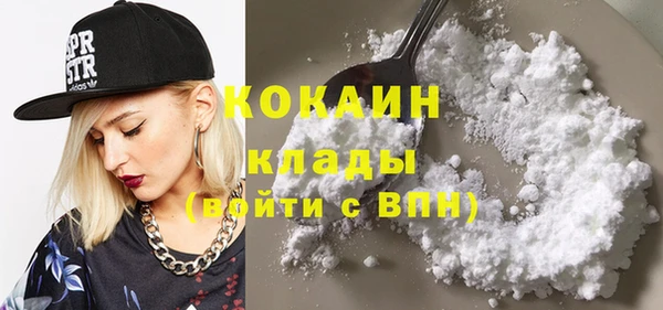 индика Алексин