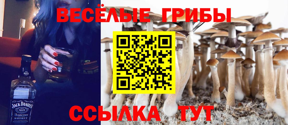 Лысьва  Галлюциногенные грибы MAGIC MUSHROOMS  Вход с VPN  Псилоцибиновые грибы Cubensis 