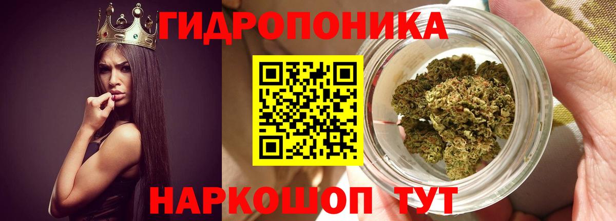 Каннабис Amnesia Лысьва